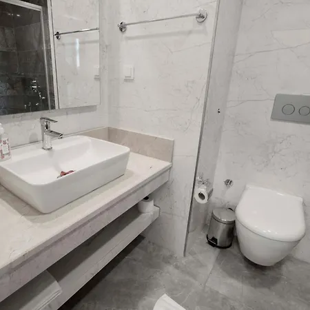 Hotel Silver